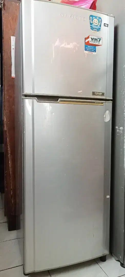 Freezer dan Kulkas Glacio Tipe Modern
