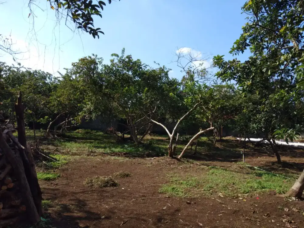 JUAL TANAH 2000m LOKASI BELAKANG RUKO CITAYAM CENTER