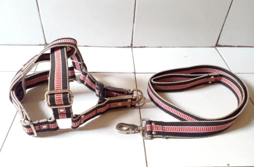 Harnes dogi dewasa