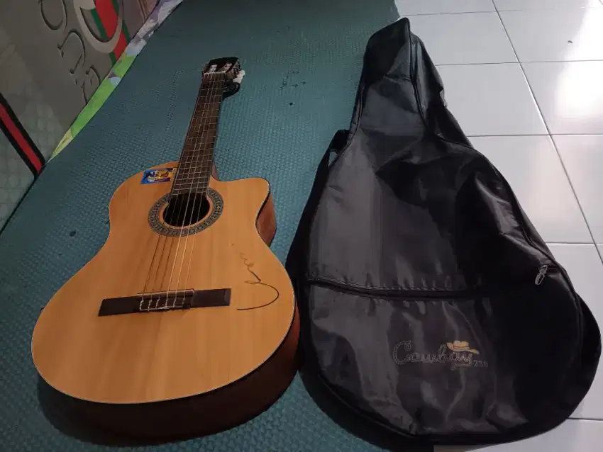 Di jual gitar bekas