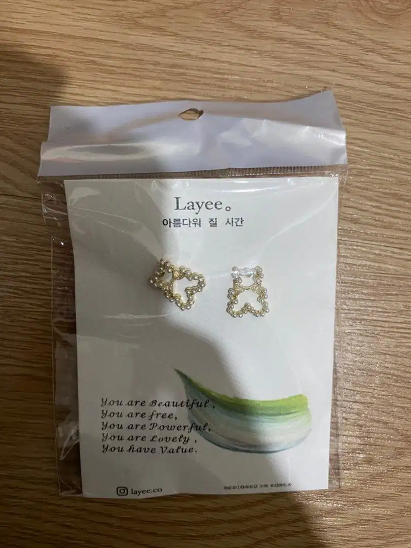 Aksesoris Anting