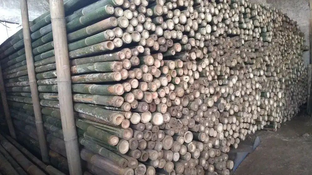 Jual bambu steger
