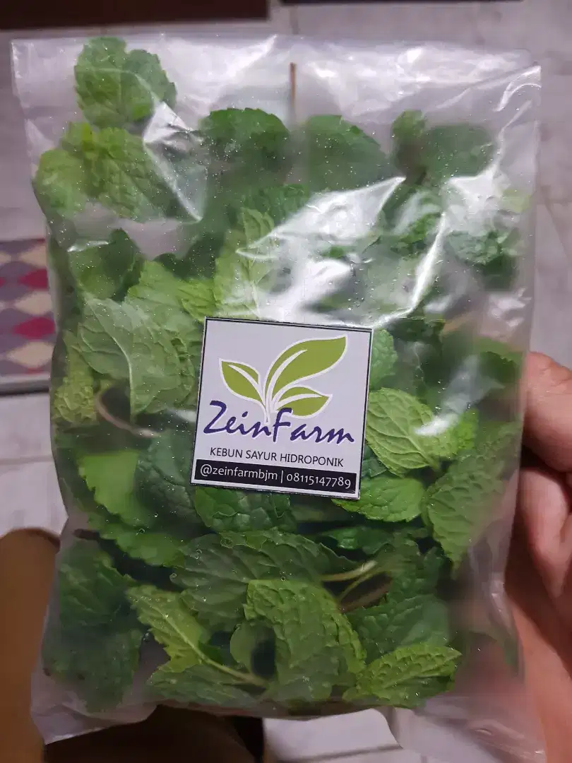 Daun mint segar untuk kesehatan