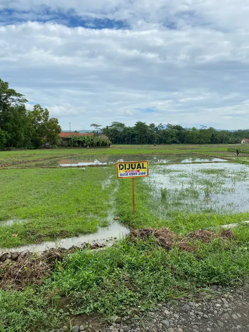 TURUN HARGA !! Dijual sawah dekat balai desa sumingkir