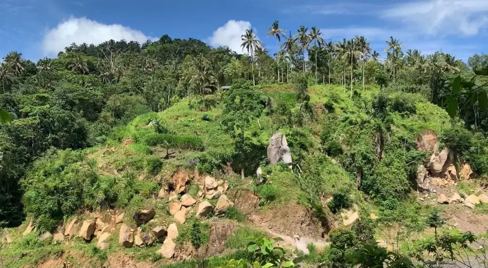 Tanah Bali 60juta/are-12.400meter-Jual Big Land - lokasi bukit di Bali