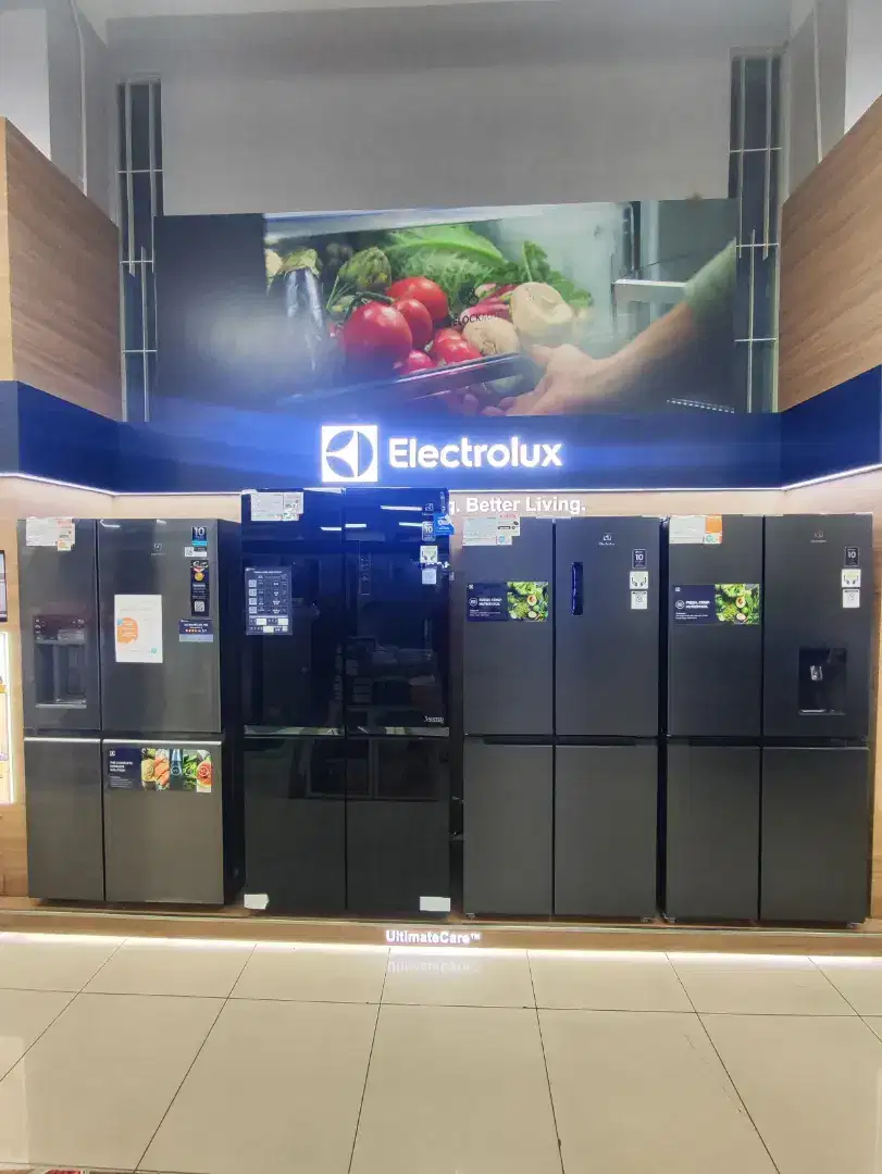 Kredit Kulkas Electrolux Bunga Bisa 0%