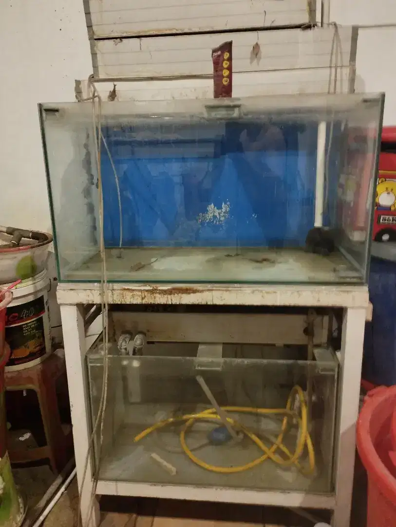 Jual aquarium beserta kelengkapannya