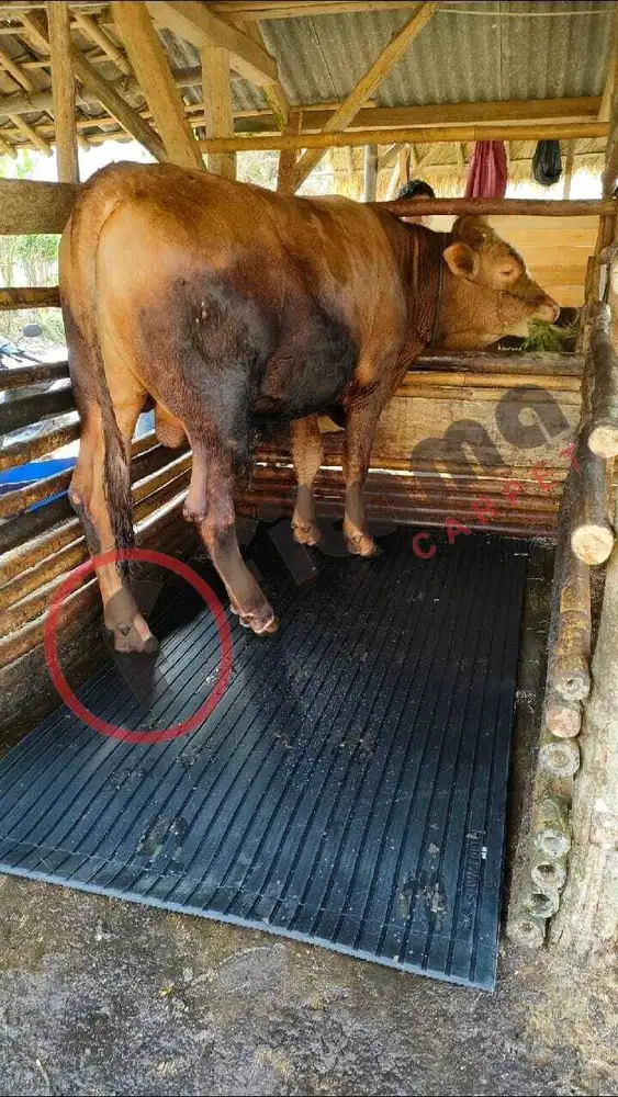 Karpet Sapi Bandung Fitama Carpet Tebal 12mm