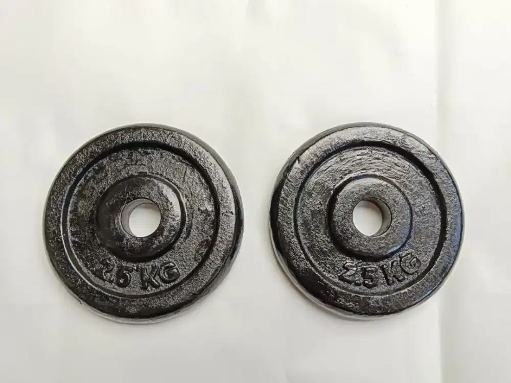 Alat olahraga plat besi 2.5 kg