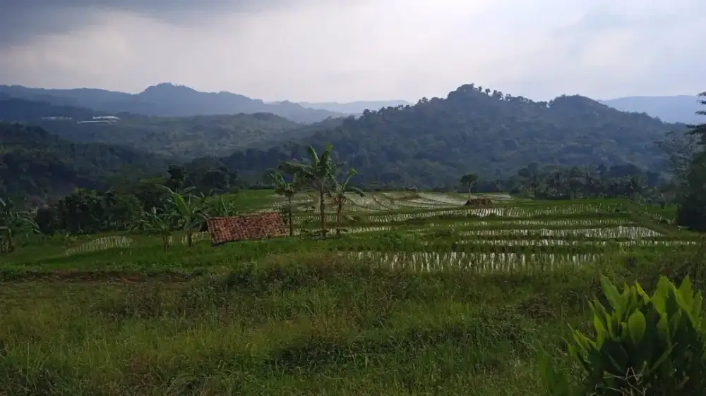 View mantap ,air melimpah