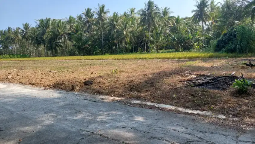 Tanah 900m2 SHMP sangat Istimewa dekat RSUD Wates, cocok untuk Kost