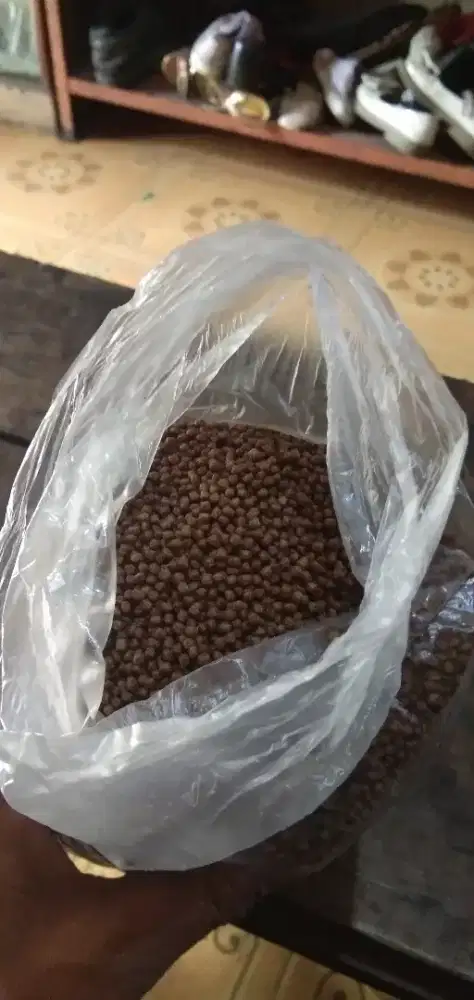 Pakan ikan  781- 1  jual per 1/2 kg