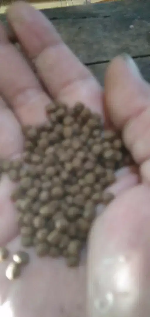 Pakan ikan provit 781-3 per 1/2 kg