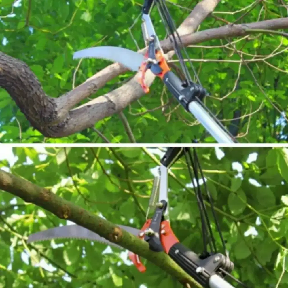 Rekber/Cod: Galah Gergaji Dahan Pohon Tinggi