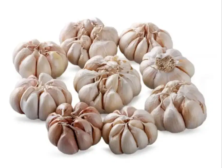 Bawang Putih Honam/Banci/Biasa (Minimal Order 20kg)