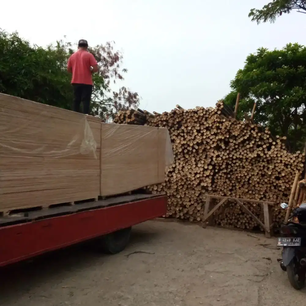 Jual bambu steger dan kaso
