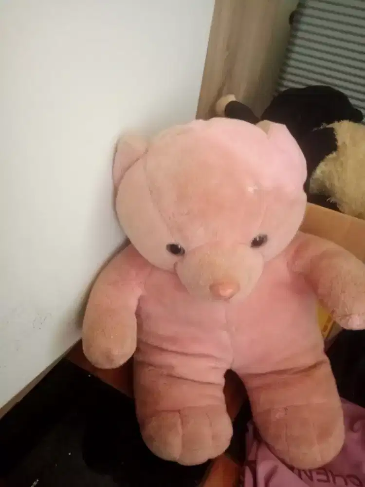 Boneka beruang warna pink