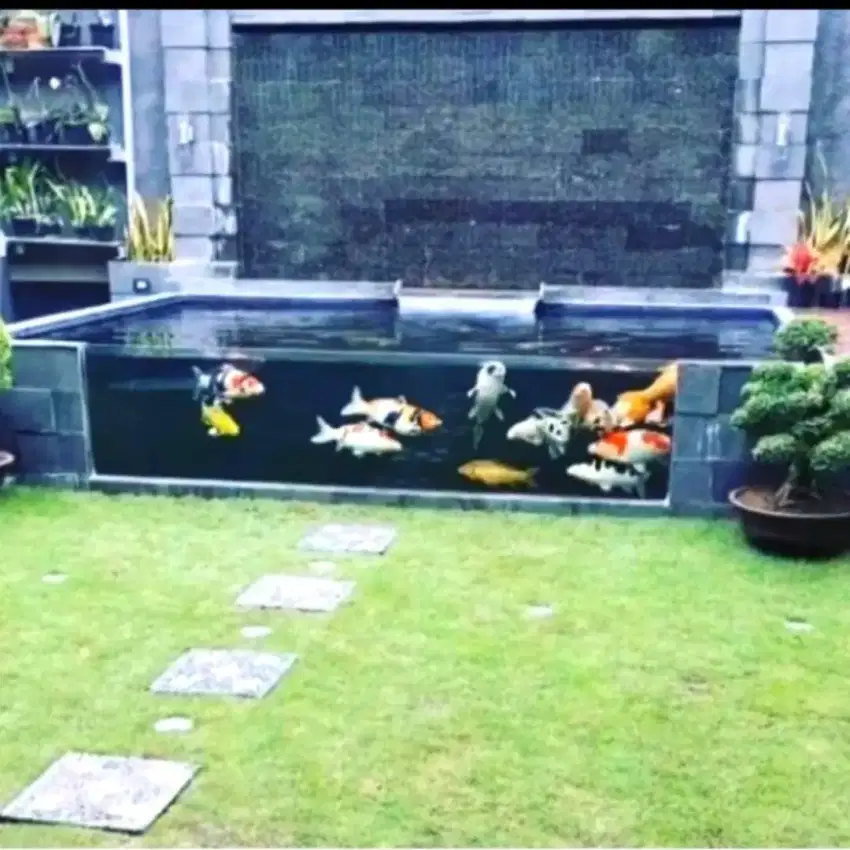 Kolam Ikan Minimalis