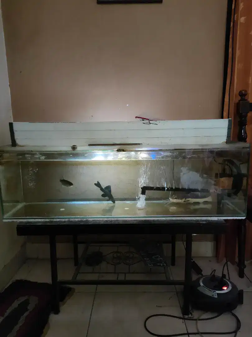 Jual 2 akuarium dan perlengkapannya 100cm & 50cm, berserta pompa nya