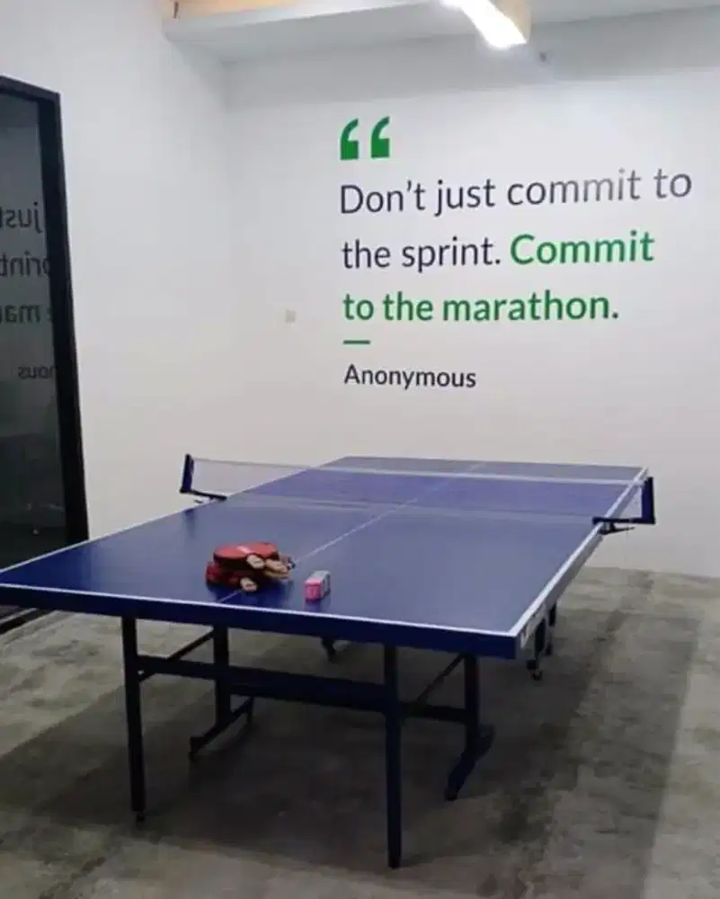 Tenis meja pingpong baru