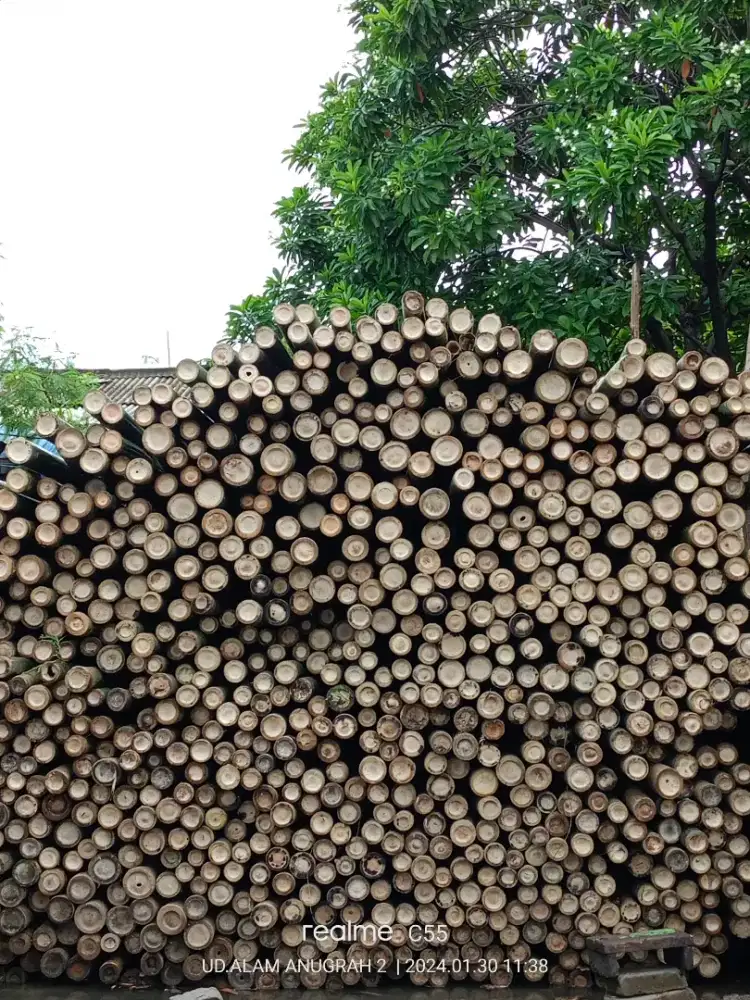 Jual bambu,kaso,trplek