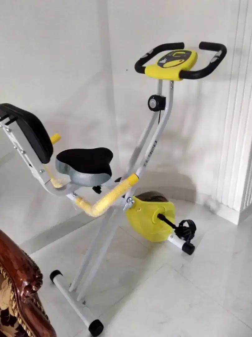 Magnetik bike/ sepeda bike