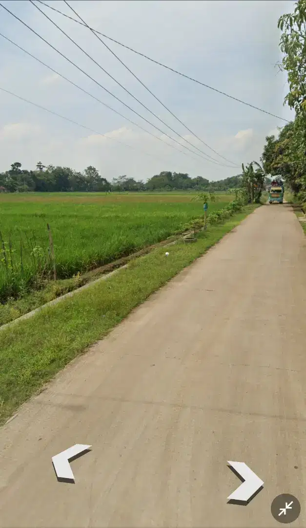 Sawah subur produktif 2400 m2 SHM