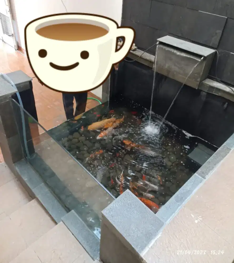 Kolam hias koi minimalis