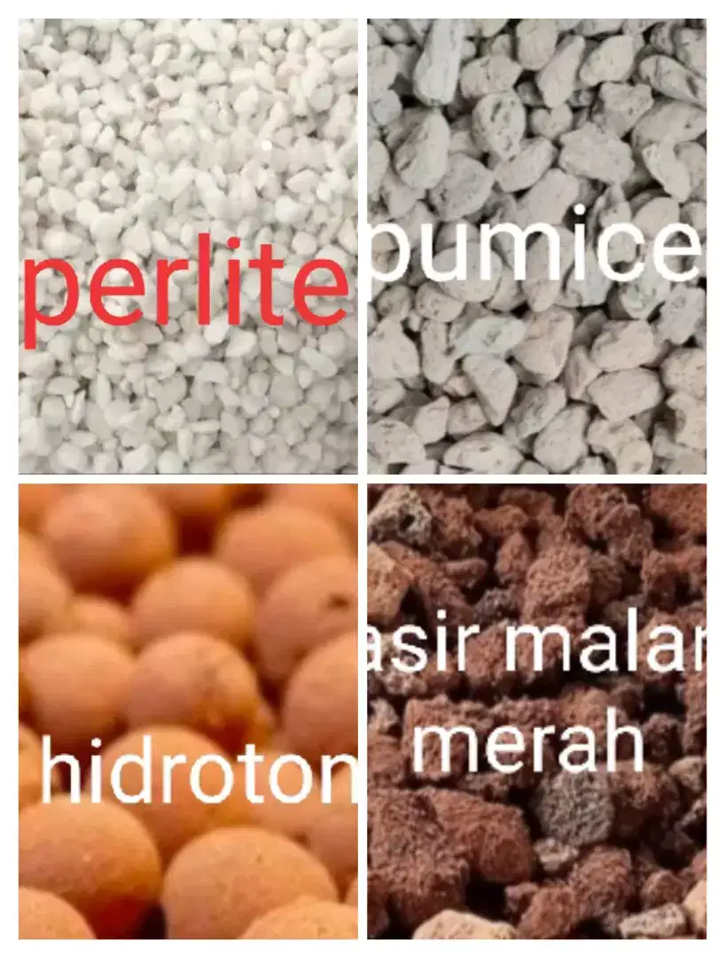 Media tanam perlite, pumice, pasir malang merah, hidroton