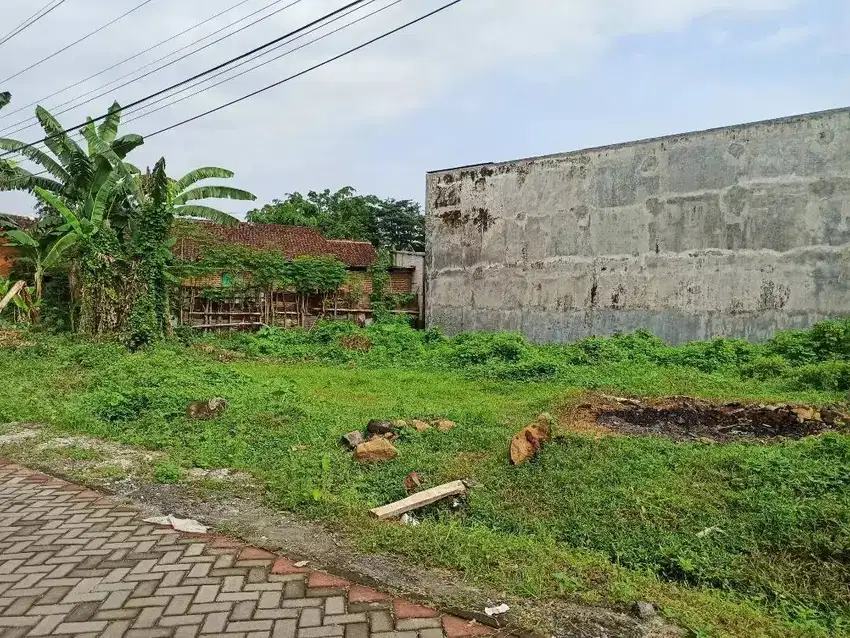 Tanah luas 276m dekat unej Jember