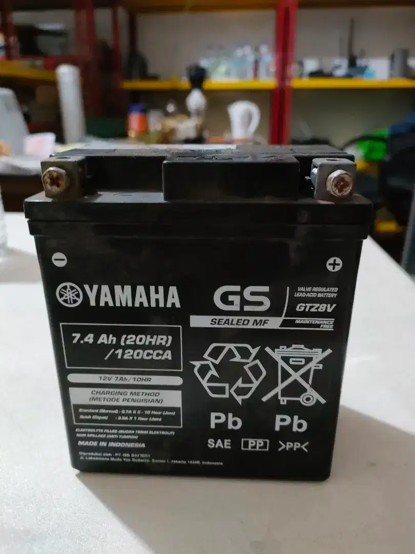 Aki Yuasa YTZ6V, GS GTZ8V