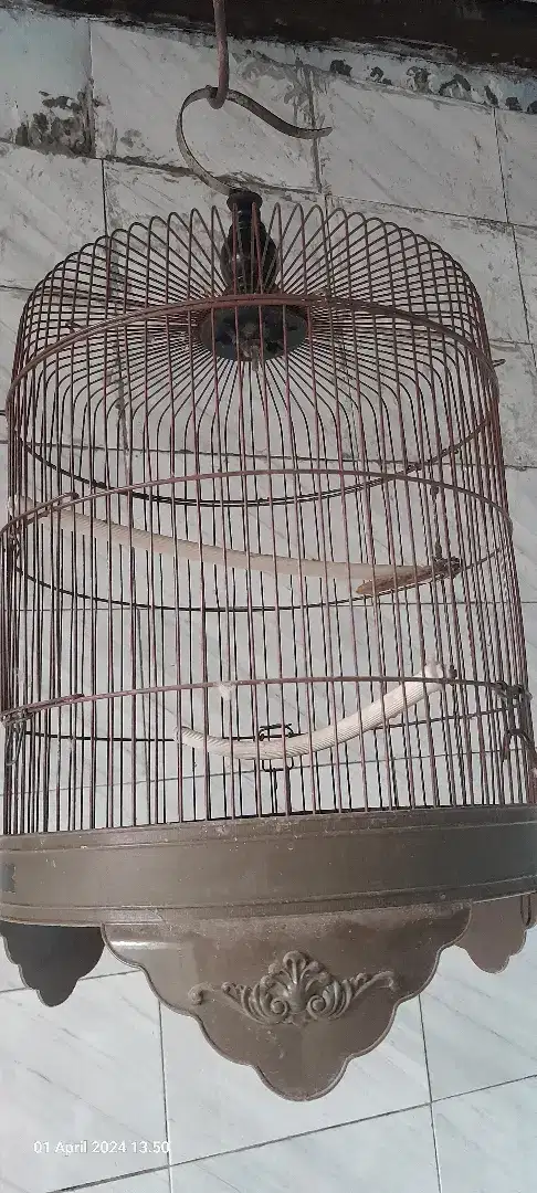 Dijual 2 sangkar bekas layak pakai drpd gak kepakai