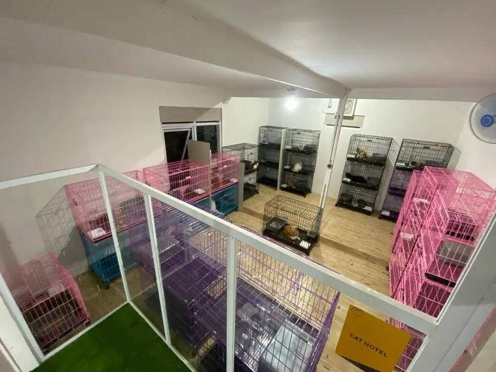 Cat Hotel Penitipan Kucing dan Grooming Kucing
