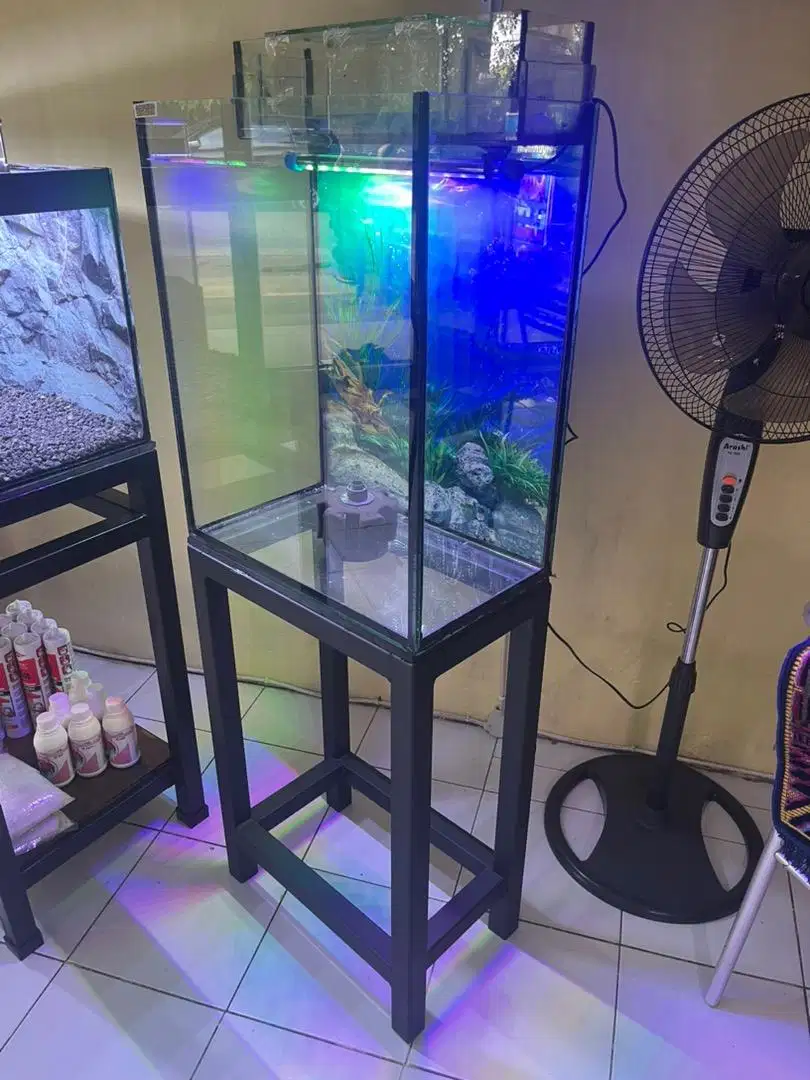 Aquarium Mini Portable Murah Minimalis Komplit