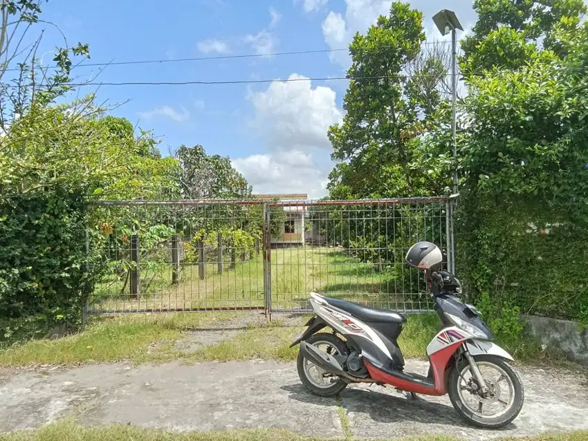 Tanah 1 ha Kebun Sayur Tarudan,  adem cocok untuk Homestay