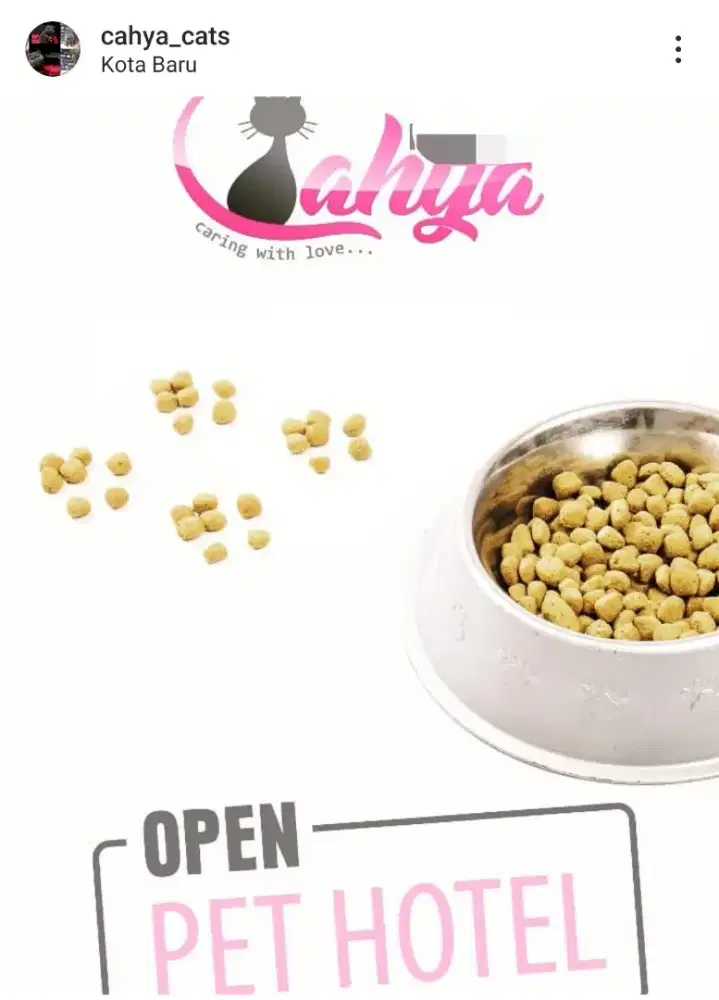 Penitipan Pet hotel kucing