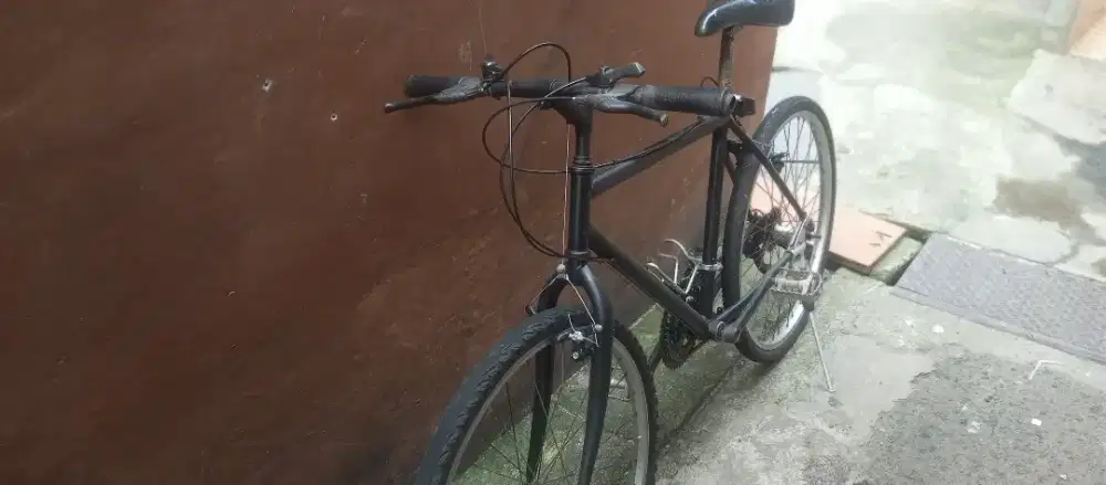 Mtb raleigh team usa 21, sz 19