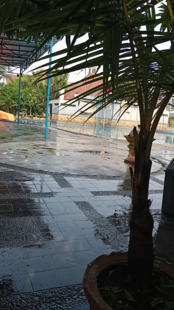 Terima jasa/privat renang