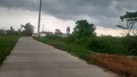 Ternak Subang + Ijin
