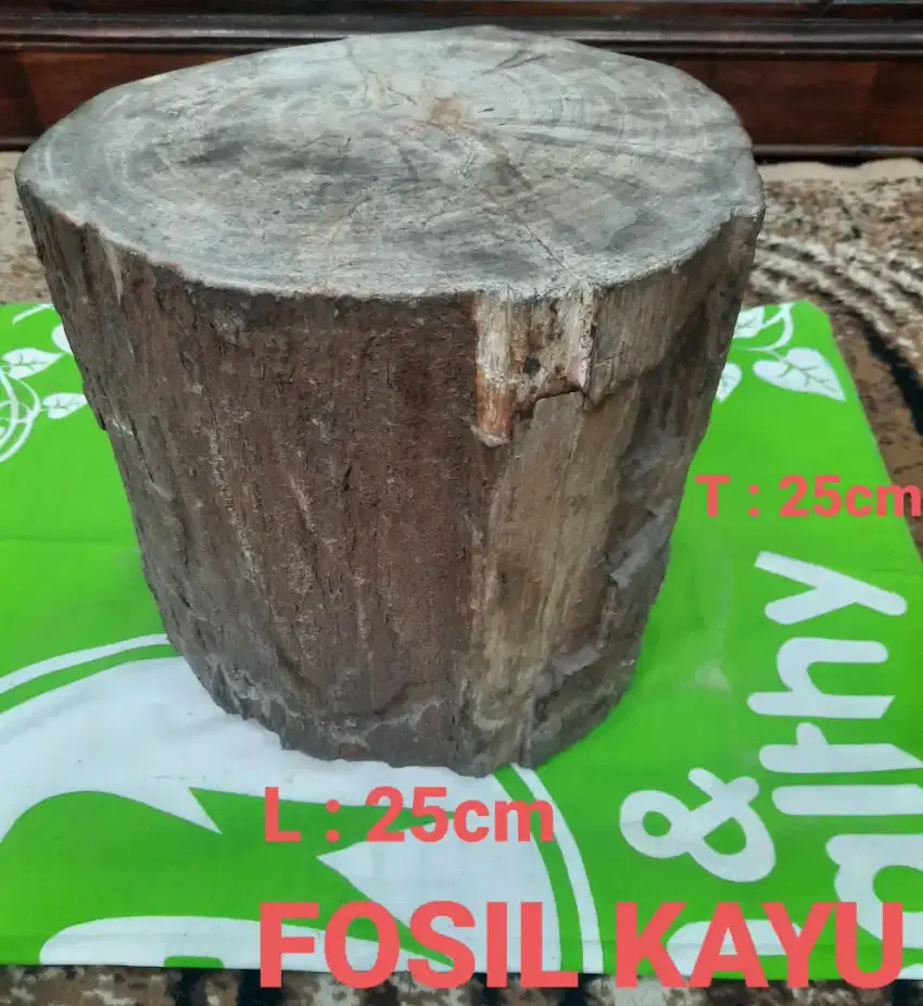 KAYU FOSIL ASLI