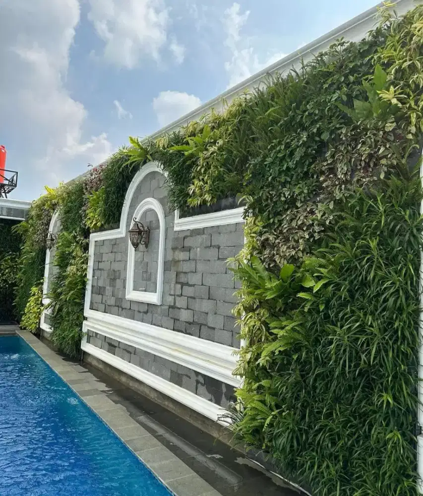 Tukang taman vertikal garden atau taman dingding dan taman lancape