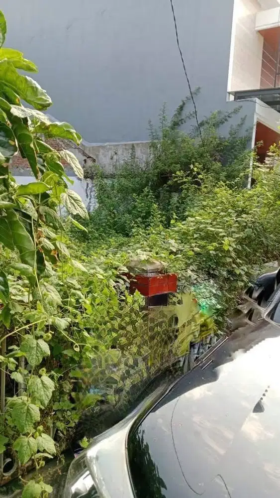 DiJual Kavling Kelapa Cengkir Timur