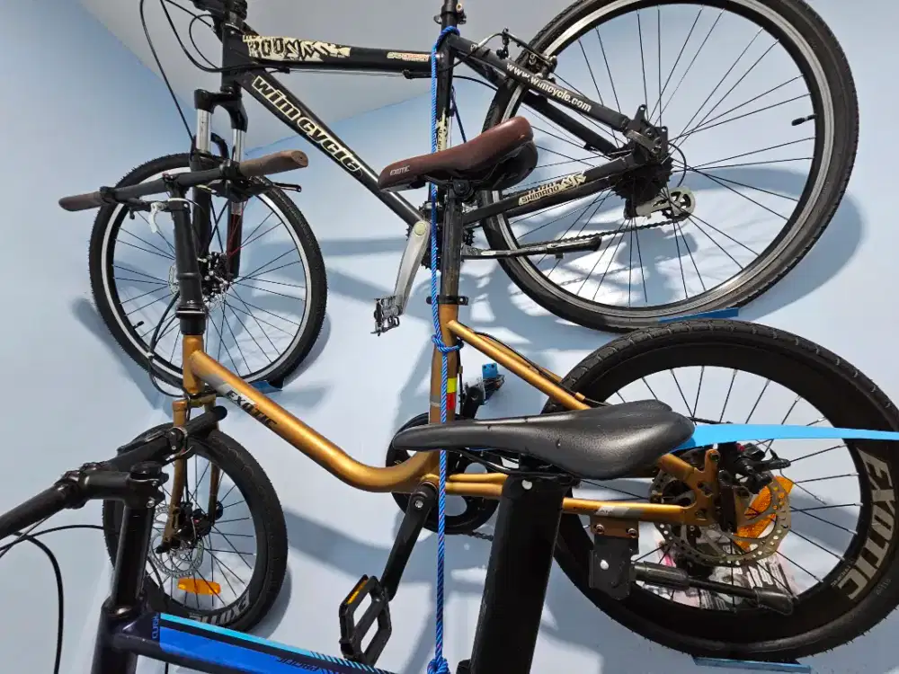 Sepeda MTB WimCycle Hotroad, Pasific Minivelo Class 5.0, Minion Exotic