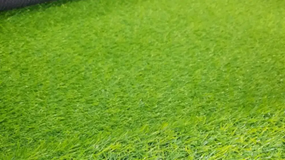 RUMPUT SINTETIS TIPE SWISS 2CM UKURAN 1x1