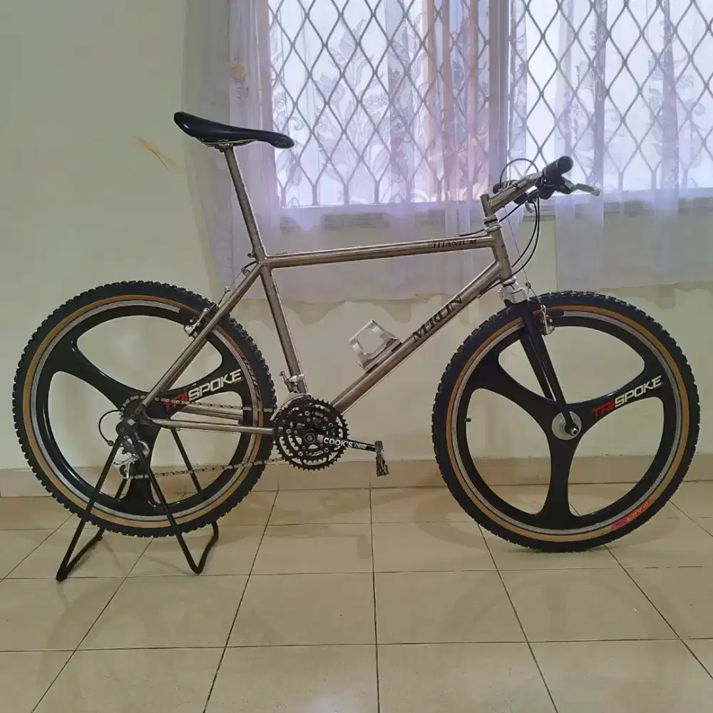 Merlin Titanium MTB Vintage