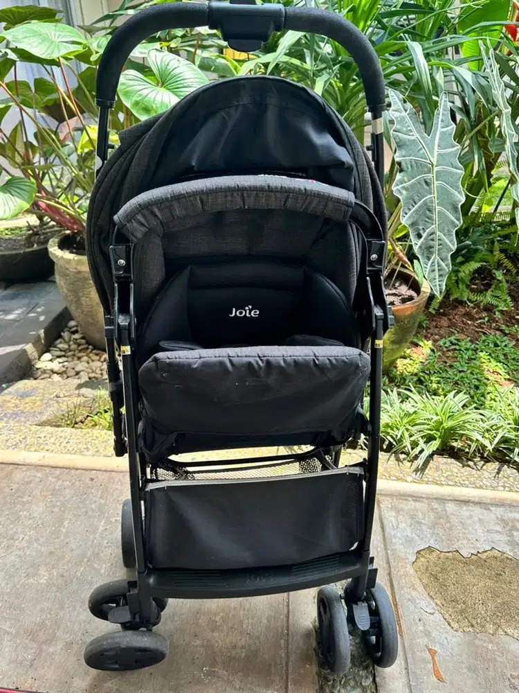 Joie SMA Baggi Pavement (bonus pelampung model duduk kualitas bagus!!)