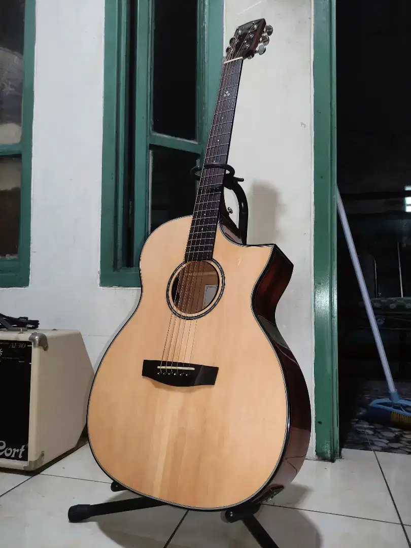 Gitar Akustik Elektrik HEX F300CE G