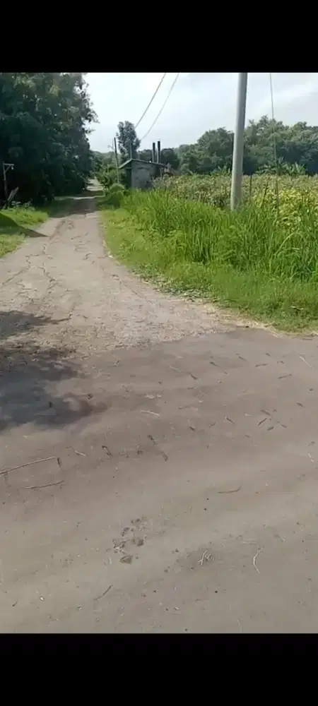 Jual tanah zona kuning lokasi masaran sragen luas 1H harga 300rb/m neg