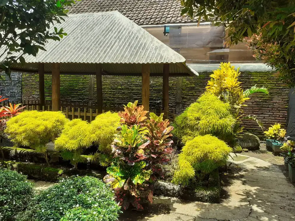 Disewakan Rumah Murah Bersih dan Asri