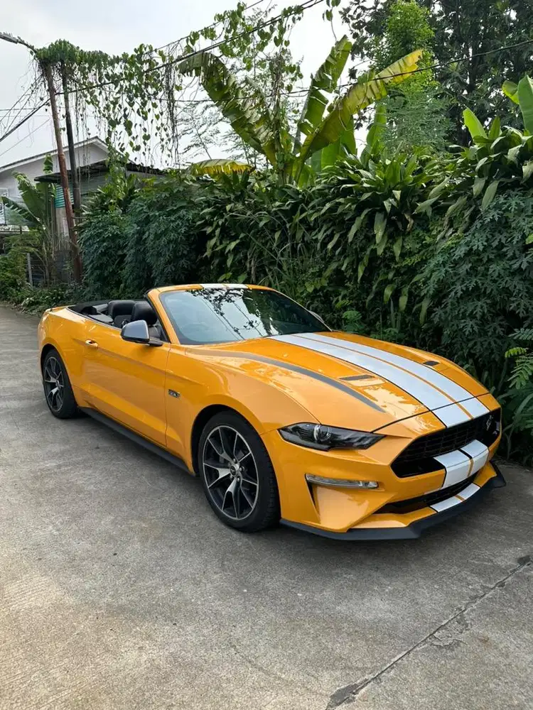 Ford mustang cabriolet high performance 2,3 orange 2023